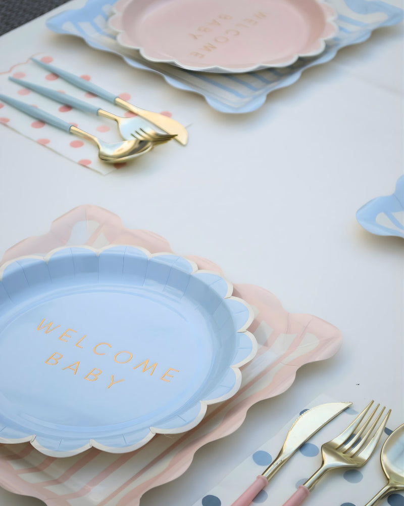 GENDER REVEAL / BABY SHOWER